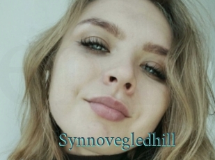 Synnovegledhill