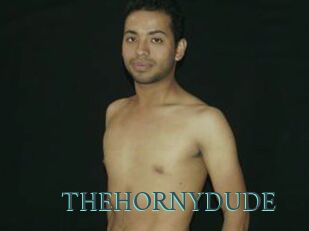 THEHORNYDUDE