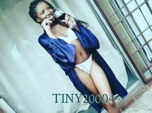 TINY20004