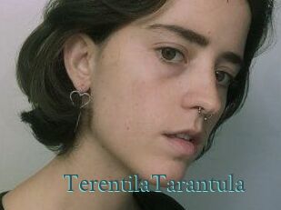 TerentilaTarantula