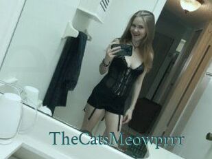 TheCatsMeowprrr