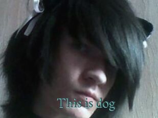 This_is_dog