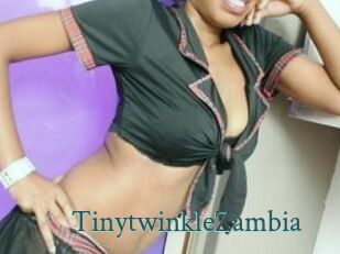 TinytwinkleZambia