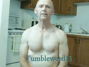 Tumbleweed13 En live show