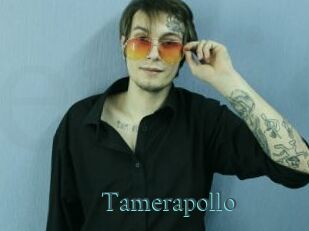 Tamerapollo