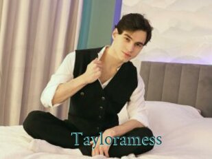 Tayloramess
