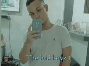 The_bad_boys_1