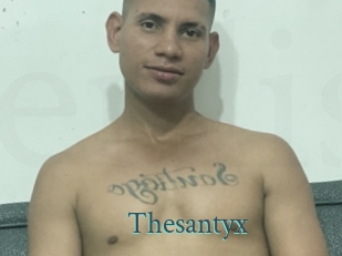 Thesantyx