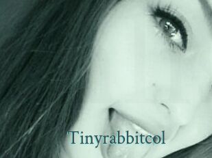 Tinyrabbitcol