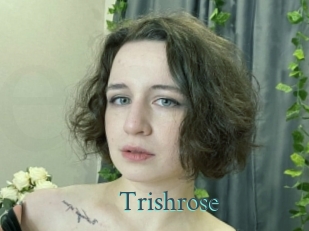 Trishrose