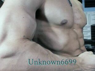 Unknown6699