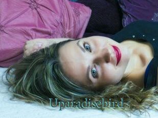 uparadisebird En live show