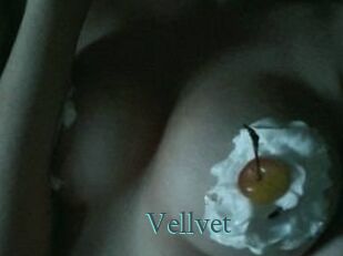 Vellvet