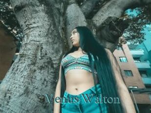 Venus_Walton