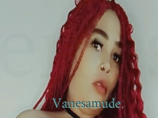 Vanesamude