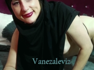 Vanezaleviz