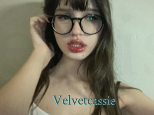 Velvetcassie