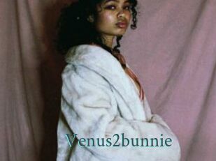 Venus2bunnie