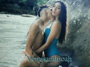 Venusandnoah