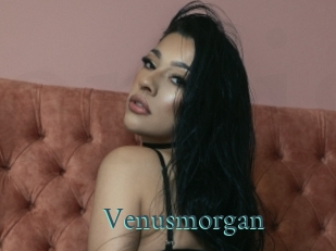 Venusmorgan