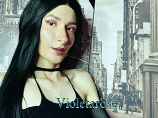 Violetarose