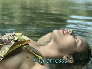 Violetrosse
