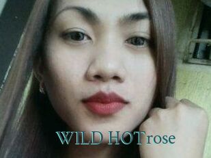 WILD_HOTrose