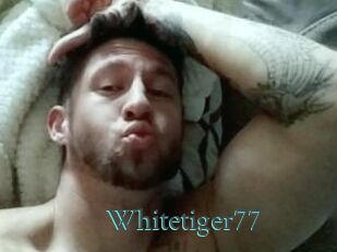 Whitetiger77