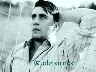 Wadebarnes