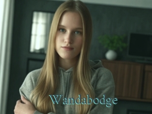 wandabodge En live show