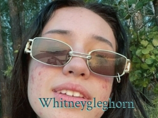 Whitneygleghorn