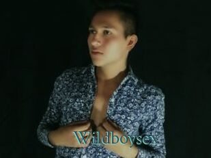 Wildboysex