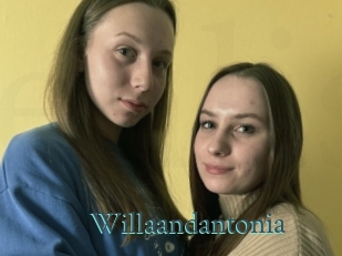 Willaandantonia