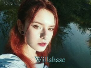 Willahase