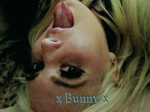 _x_Bunny_x_