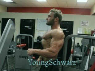 YoungSchwarz En live show