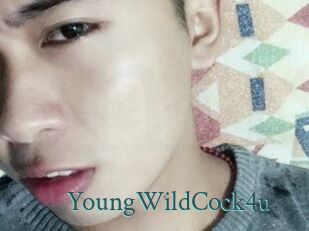 YoungWildCock4u En live show