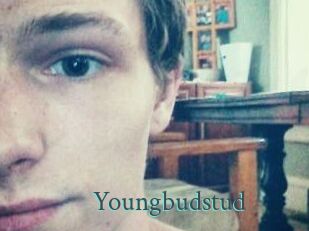 Youngbudstud