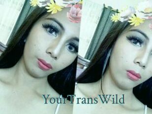 YourTransWild