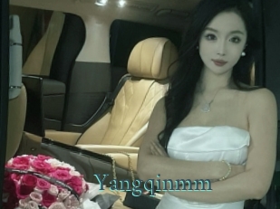 Yangqinmm