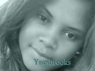 Ynesbrooks