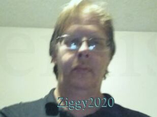 Ziggy2020