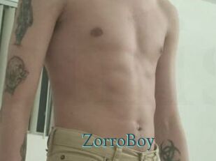 ZorroBoy