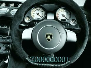 z000000001 En live show