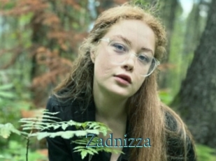 Zadnizza