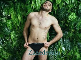 Zanedeyum