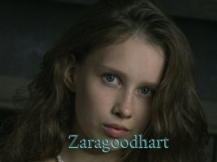 Zaragoodhart