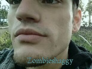 zombieshaggy En live show
